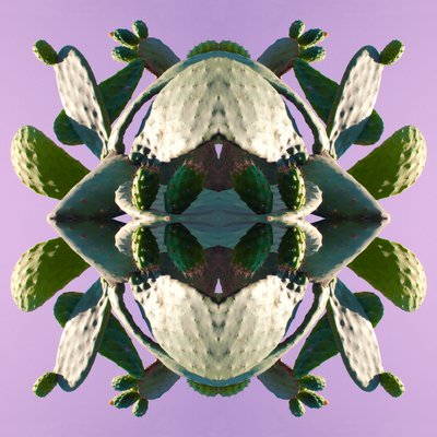 Unnatural 196 - Giovanni Cafagna