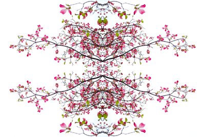 Unnatural 200 - Giovanni Cafagna