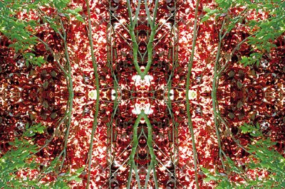 Non naturel 23 - Giovanni Cafagna