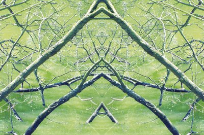 Non naturel 30 - Giovanni Cafagna