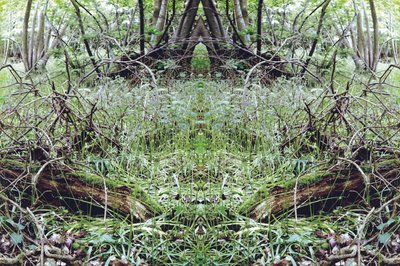 Non naturel 33 - Giovanni Cafagna