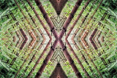 Non naturel 37 - Giovanni Cafagna