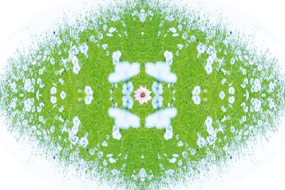 Non naturel 37 - Giovanni Cafagna