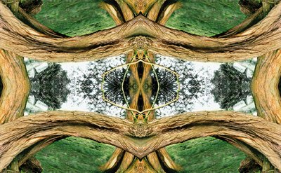 Non naturel 37 - Giovanni Cafagna