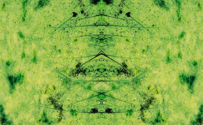 Non naturel 3 - Giovanni Cafagna