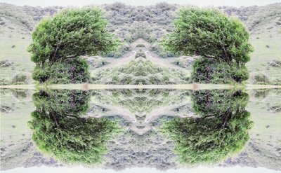 Non naturel 40 - Giovanni Cafagna
