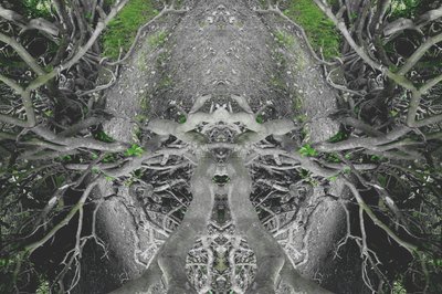 Non naturel 42 - Giovanni Cafagna