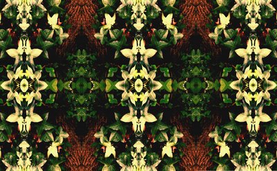 Non naturel 43 - Giovanni Cafagna