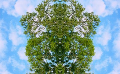 Non naturel 46 - Giovanni Cafagna
