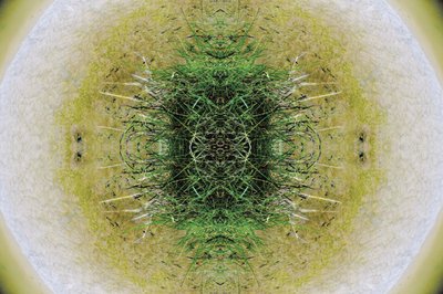 Non naturel 6.1 - Giovanni Cafagna