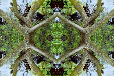 Non naturel 65.2 - Giovanni Cafagna