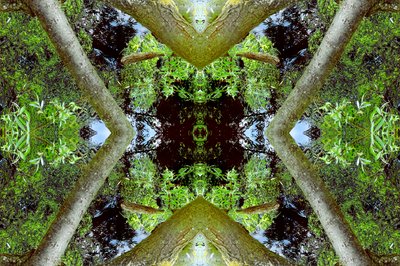 Non naturel 65.3 - Giovanni Cafagna