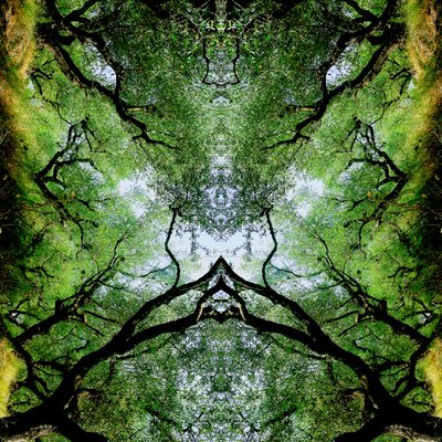 Unnatural 75 - Giovanni Cafagna