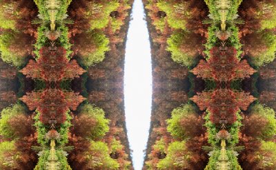 Unnatural 81 - Giovanni Cafagna