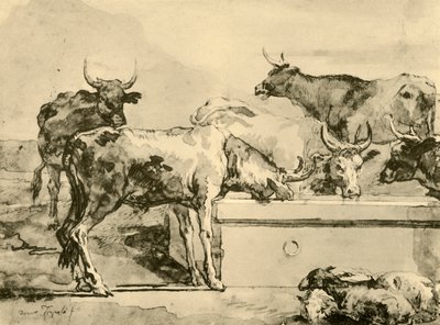 Vaches s