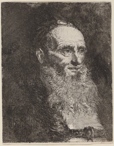 Vieil homme avec une barbe - Giovanni Domenico Tiepolo