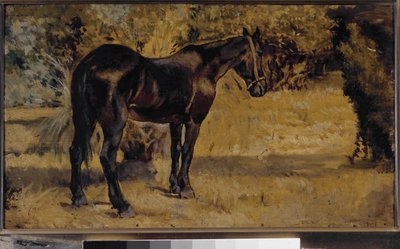 Cheval noir - Giovanni Fattori