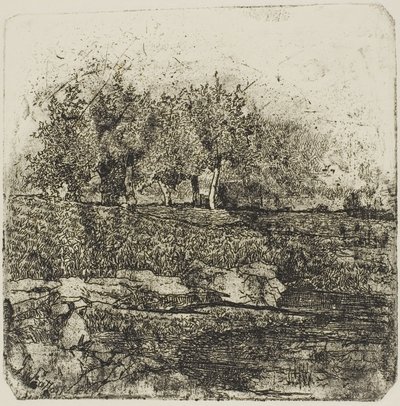 Arbres dans un pré - Giovanni Fattori