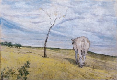 Cheval blanc - Giovanni Fattori