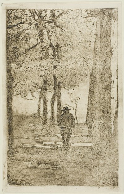 Promenade boisée avec figure - Giovanni Fattori
