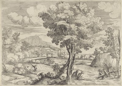Paysage avec oiseau sur une souche - Giovanni Francesco Grimaldi