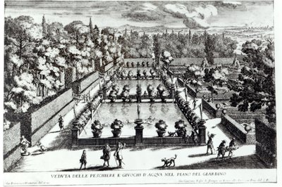 Étangs à poissons à la Villa d