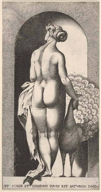 Planche 4 : Junon debout dans une niche, vue de dos, caressant un paon à sa droite, fr..., 1526 - Giovanni Jacopo Caraglio