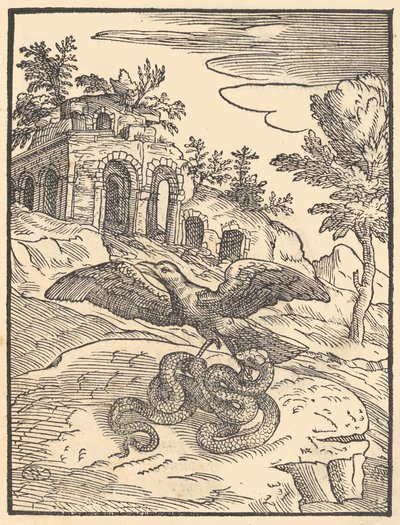 Oiseau et serpent - Giovanni Maria Verdizotti