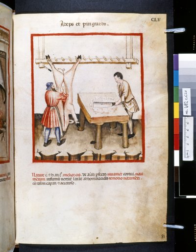 Theatrum sanitatis par Ububchasym de Baldach : 
