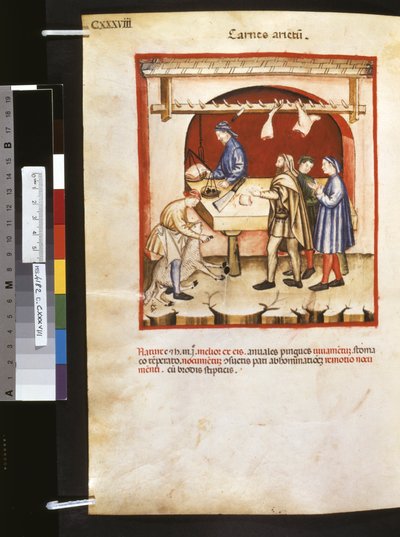 Theatrum sanitatis par Ububchasym de Baldach : 