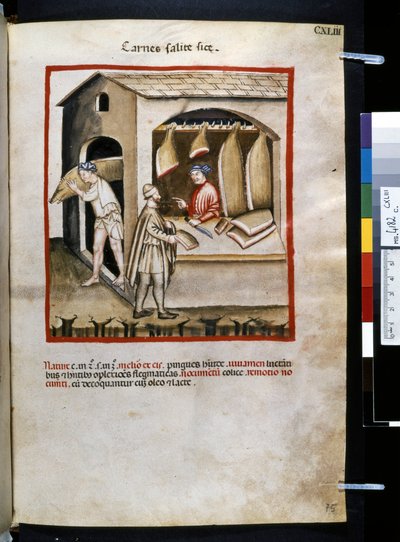 Theatrum sanitatis par Ububchasym de Baldach : 