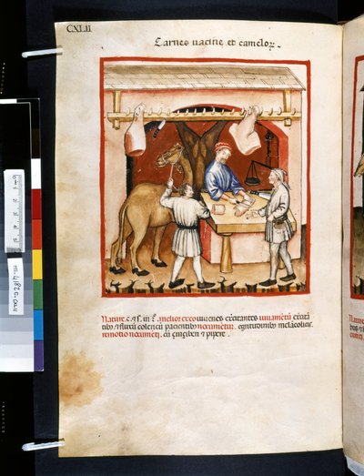 Theatrum sanitatis par Ububchasym de Baldach: 