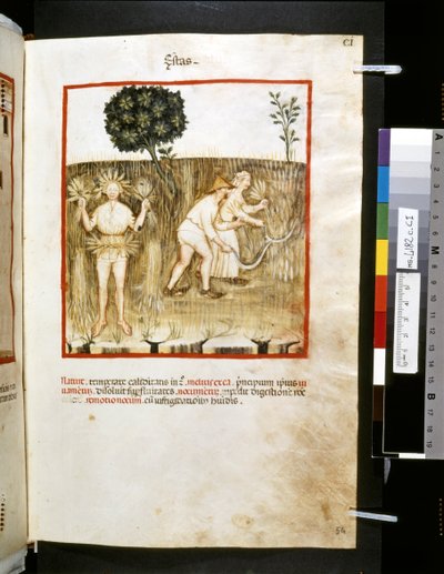 Theatrum sanitatis par Ububchasym de Baldach : 