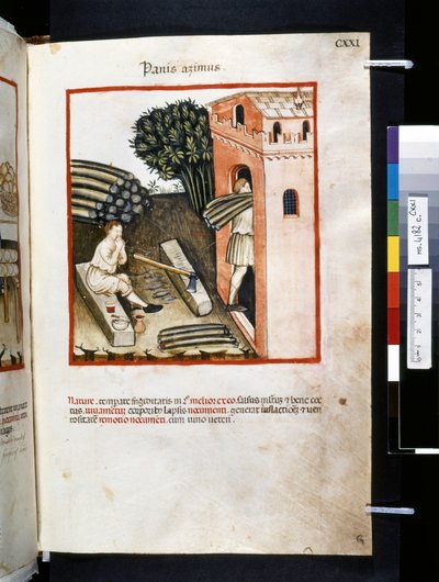Theatrum sanitatis par Ububchasym de Baldach: 