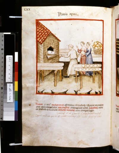 Theatrum sanitatis par Ububchasym de Baldach: 