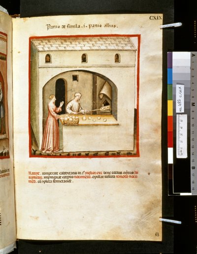Theatrum sanitatis par Ububchasym de Baldach : 