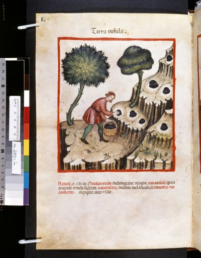 Theatrum sanitatis par Ububchasym de Baldach : 