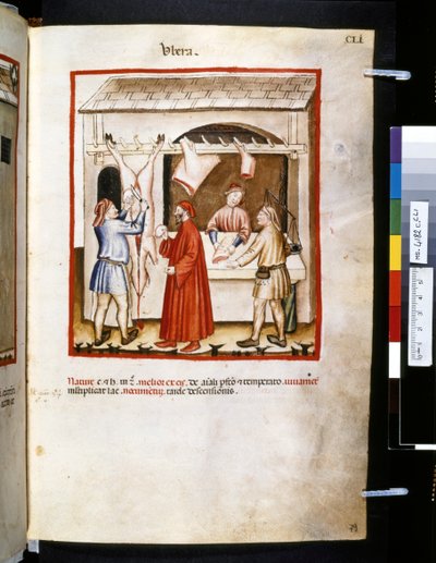 Theatrum sanitatis par Ububchasym de Baldach: 