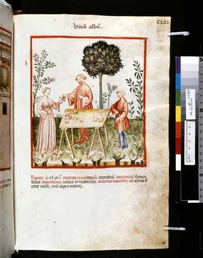 Theatrum sanitatis par Ububchasym de Baldach : 