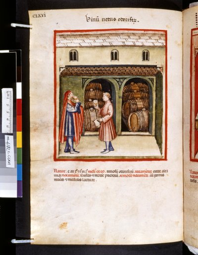 Theatrum sanitatis par Ububchasym de Baldach : 