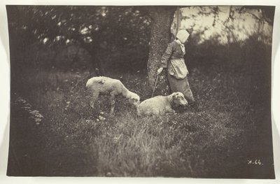 Bergère adossée à un arbre, avec deux moutons - Giraudon