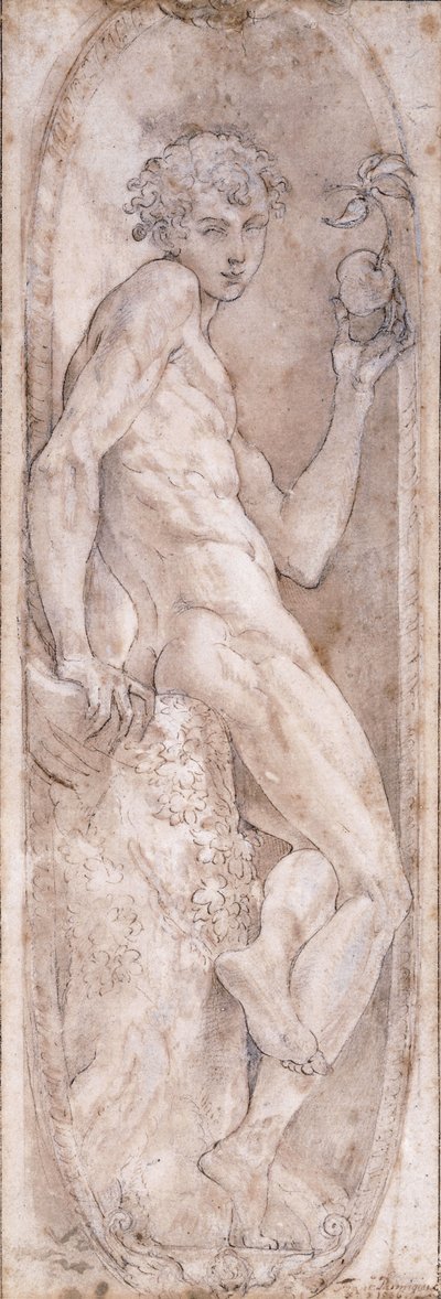 Adam tenant une pomme, assis, dans un médaillon, vers 1547-1553 - Girolamo Mazzola Bedoli