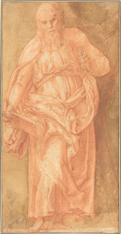 Saint André - Girolamo Muziano