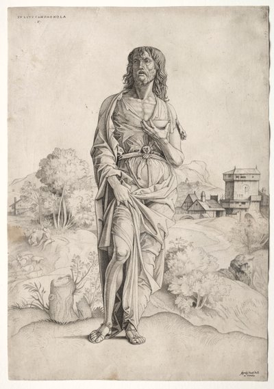 Saint Jean-Baptiste, vers 1505 - Giulio Campagnola