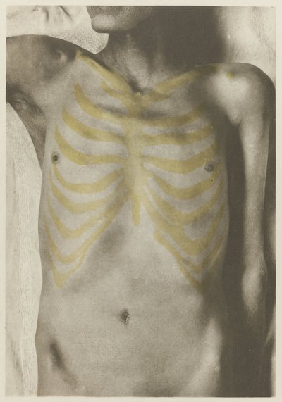 Atlas der Anatomie des Menschen zum Gebrauch für Künstler : Reproduktion und Illustration, anatomischer - Giulio Chiarugi (attributed to)