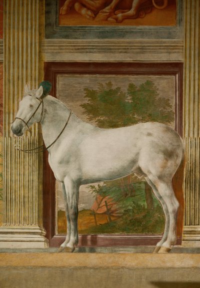 La salle des chevaux avec les peintures murales des chevaux préférés de Federico II Gonzaga (fresque) - Giulio Romano