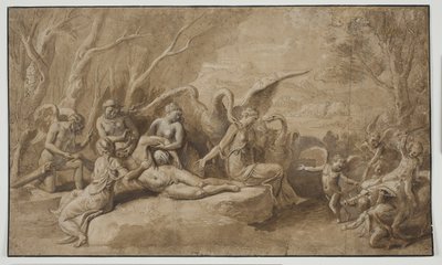 Vénus pleurant la mort d