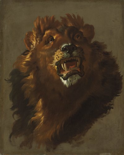 Lion - Giuseppe Baldrighi