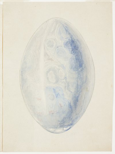 Vue d
