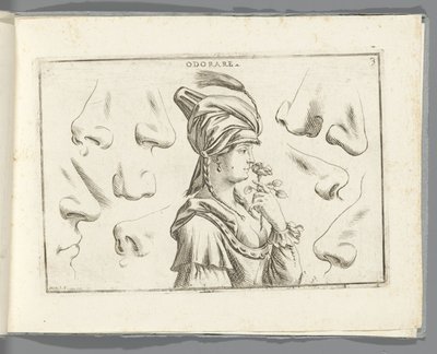 Odorat - Giuseppe Maria Mitelli